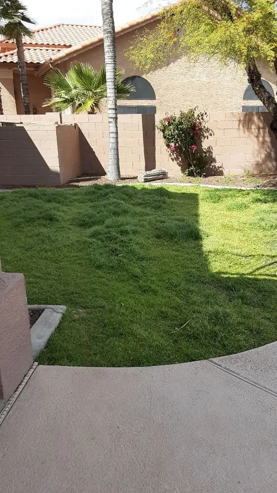 Local garden landscaping experts serving Mesa, AZ - Royal Green Landscape
