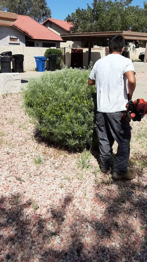 Local lawn mowing service for residential properties in Mesa, AZ by Royal Green Landscape
