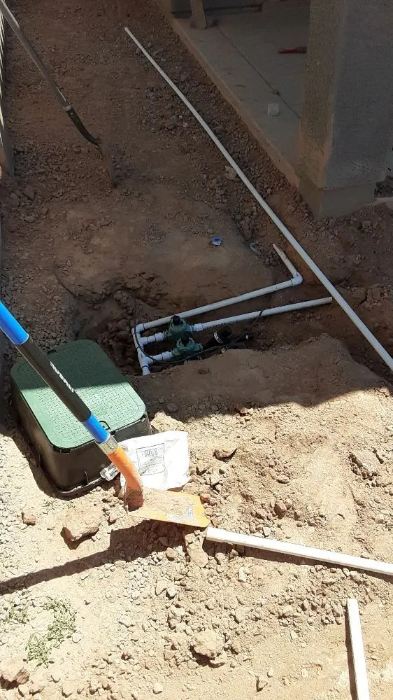 Professional yard cleanup service experts serving Mesa, AZ - Royal Green Landscape