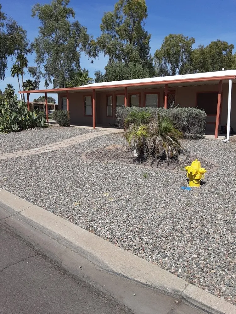 Reliable landscaping services for year-round maintenance in Mesa, AZ by Royal Green Landscape