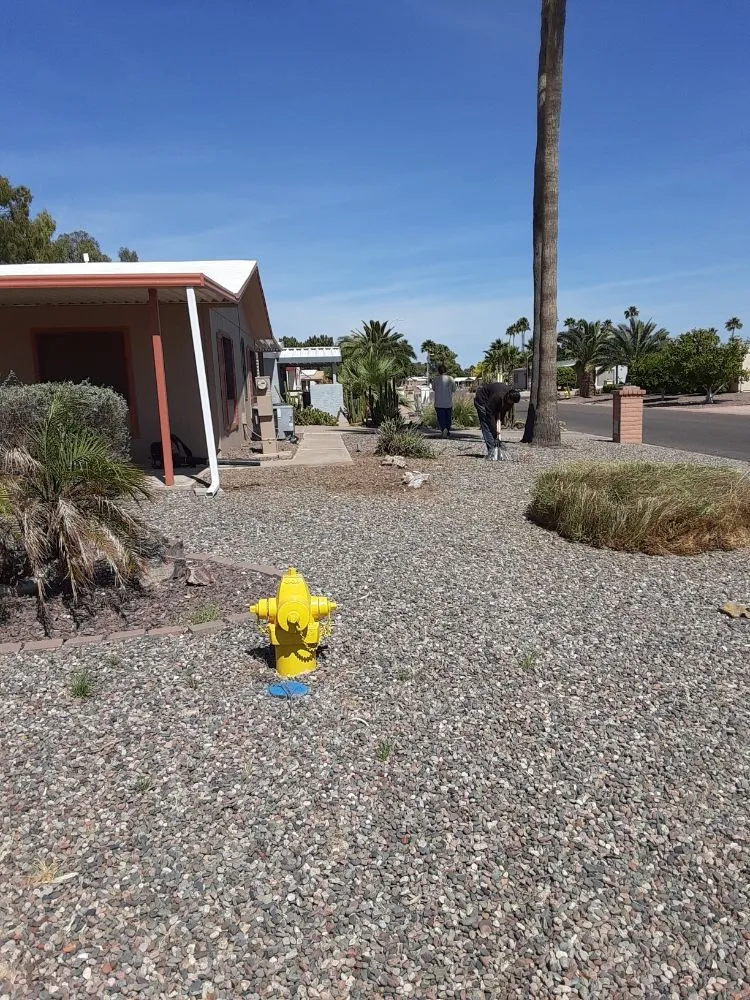 Expert landscaping services near you across Mesa, AZ - Royal Green Landscape