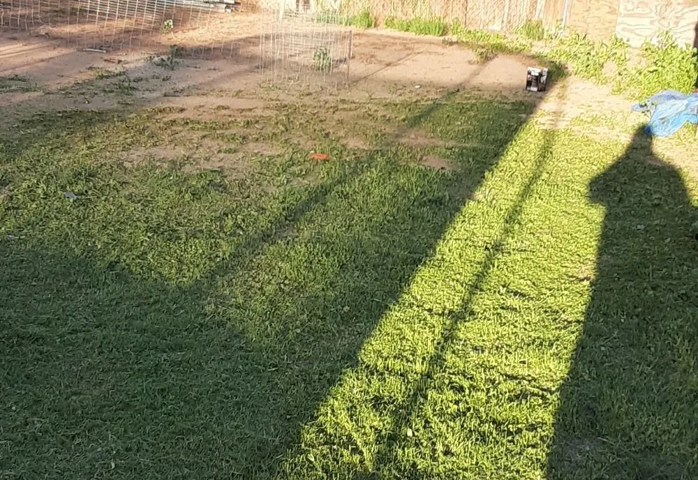 Local landscape installation near you across Mesa, AZ - Royal Green Landscape