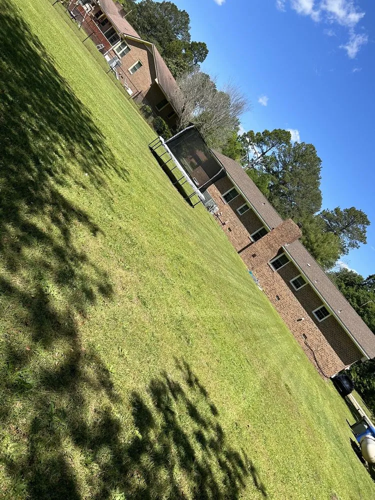 Top-rated yard cleanup service in Raeford, NC by Royal green landscaping and lawn care