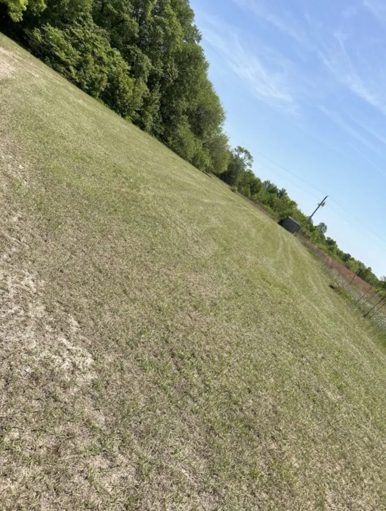 Trusted lawn mowing service in Raeford, NC by Royal green landscaping and lawn care