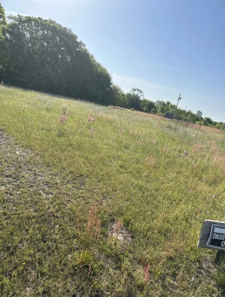 Affordable outdoor landscaping in Raeford, NC by Royal green landscaping and lawn care