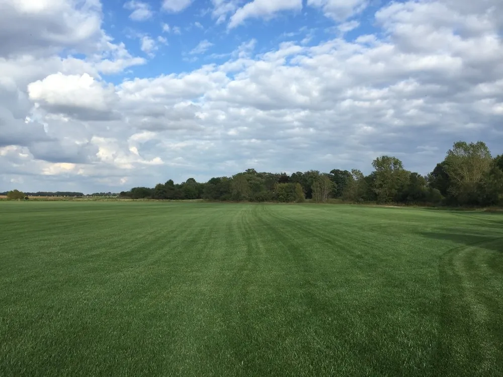 Trusted landscaping services for beautiful yards across Kansasville, WI - Royal Green Sod Farm