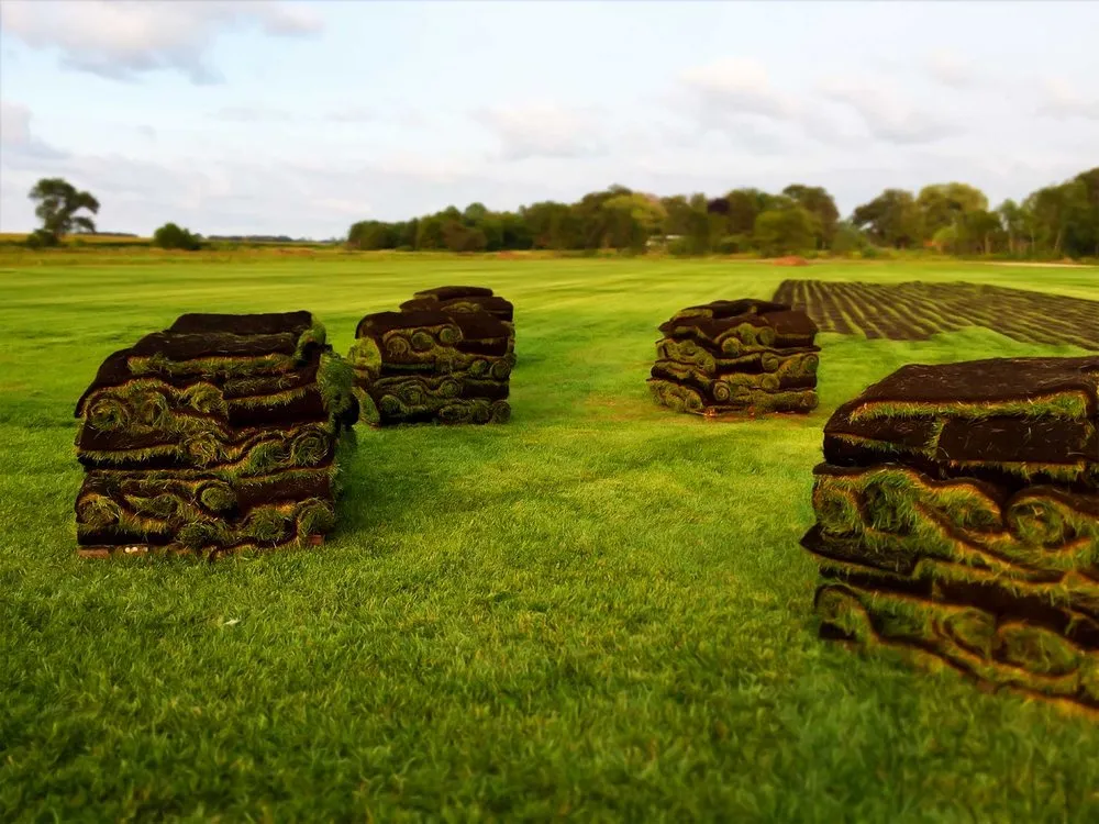 Reliable landscaping services for residential properties in Kansasville, WI by Royal Green Sod Farm