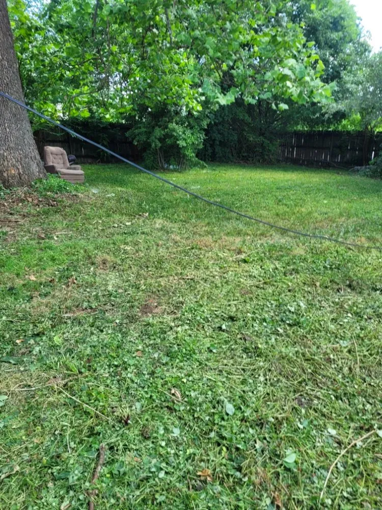 Expert landscape installation in West Peoria, IL - Royal Green