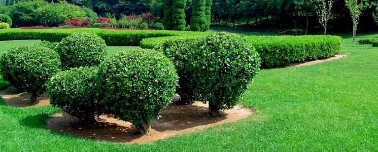 Professional landscape design experts serving Frederick, MD - Royal Greens