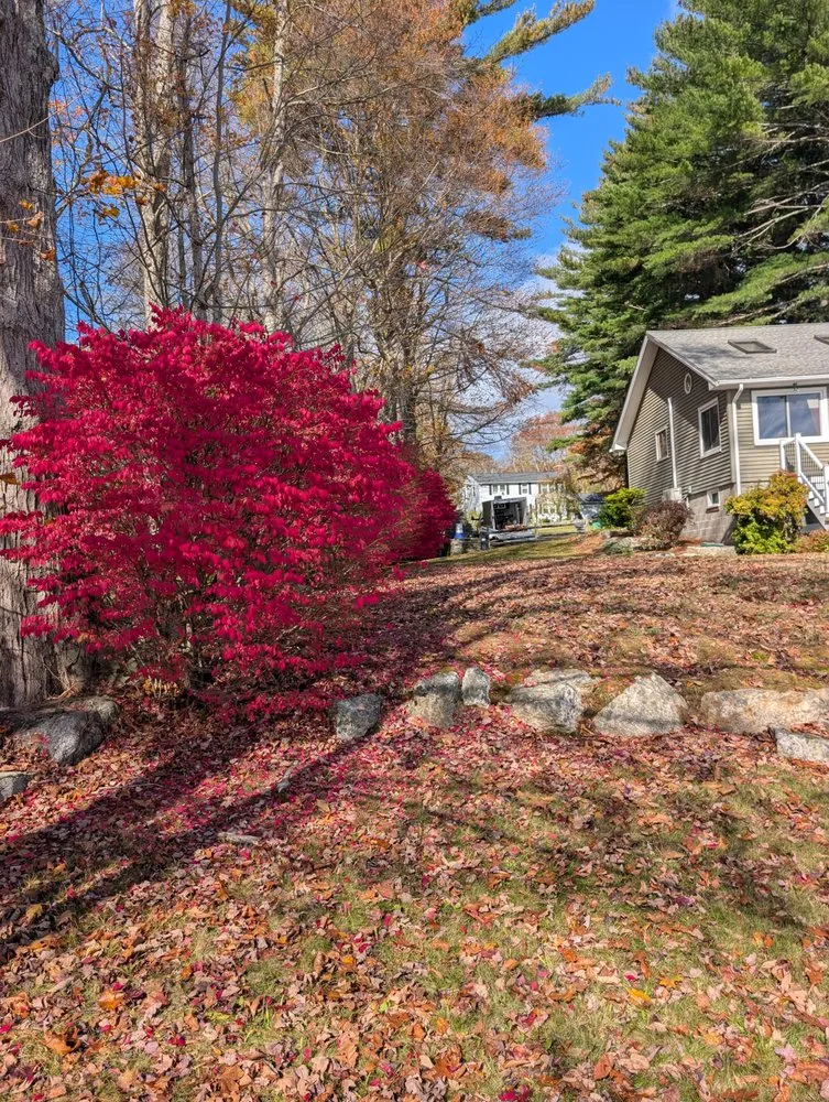 Affordable landscape design for year-round maintenance across Grafton, MA - Royal Greens