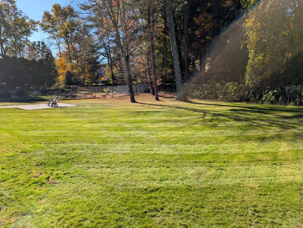 Trusted landscape design in Grafton, MA - Royal Greens