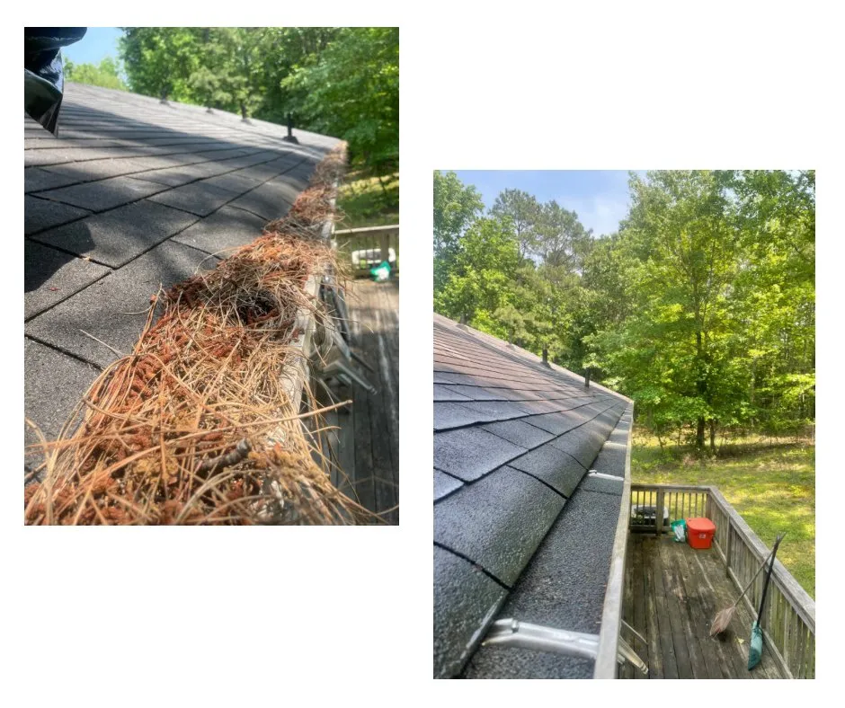 Reliable landscaping services for year-round maintenance in Midlothian, VA by Royal Hands