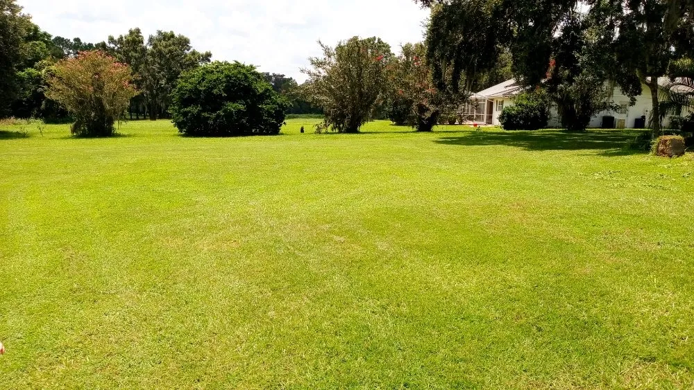 Expert landscaping services near you in Brooksville, FL by Royal Highlands Finest Property Management & Debri Hauling