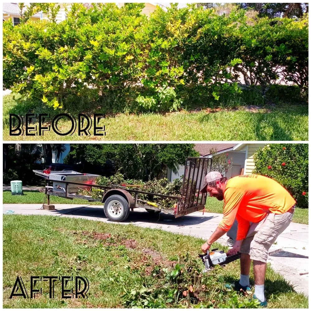 Professional yard cleanup service for outdoor upgrades in Brooksville, FL by Royal Highlands Finest Property Management & Debri Hauling