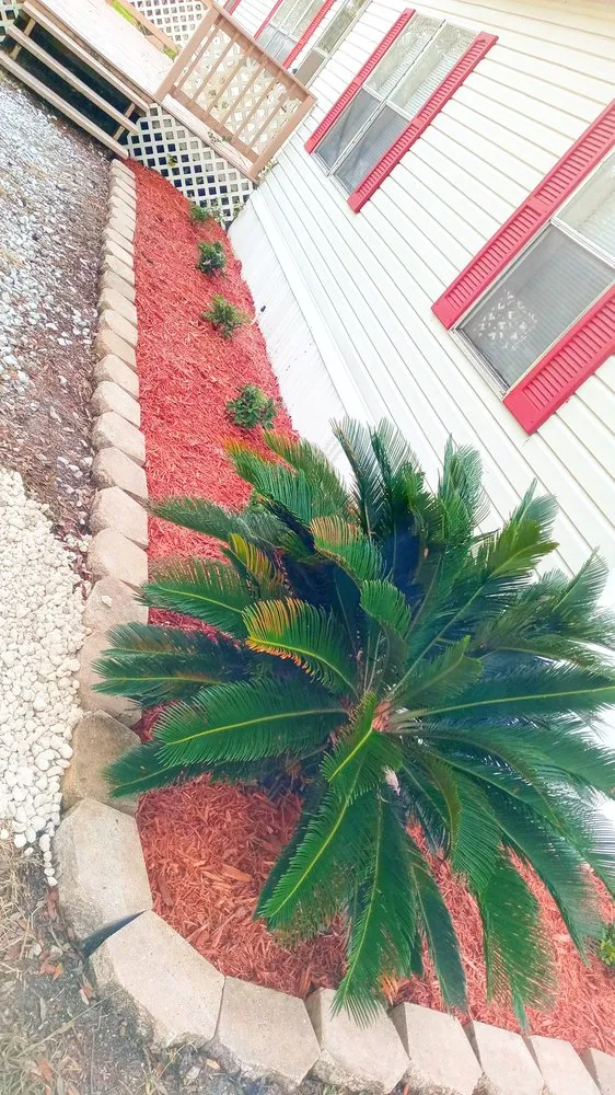 Top-rated garden landscaping near you in Brooksville, FL by Royal Highlands Finest Property Management & Debri Hauling