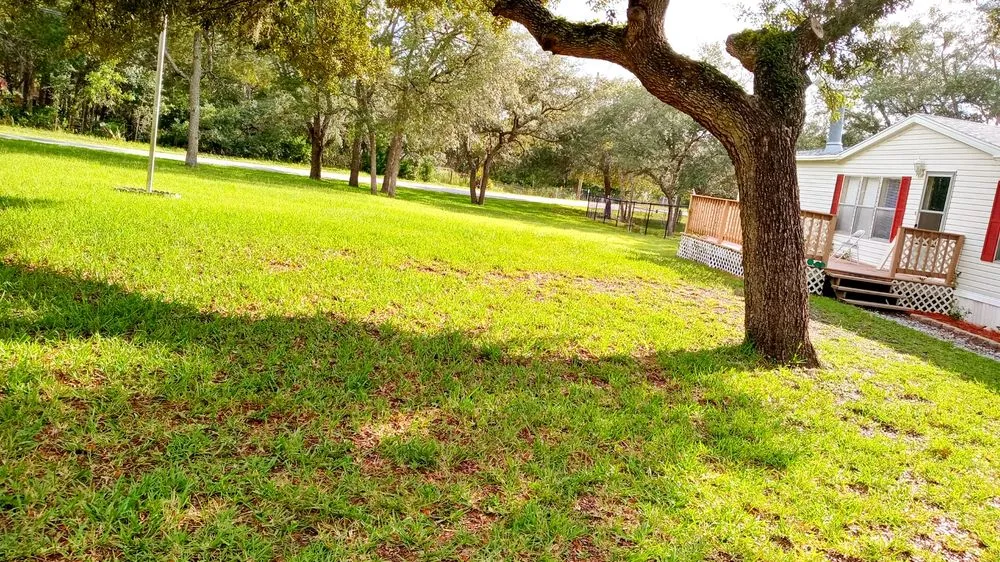 Professional lawn mowing service experts serving Brooksville, FL - Royal Highlands Finest Property Management & Debri Hauling