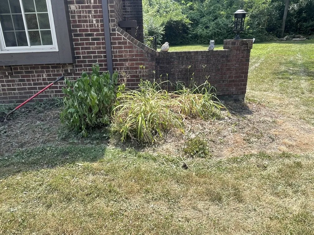 Reliable yard maintenance in Dayton, OH - Royal Home & Lawn