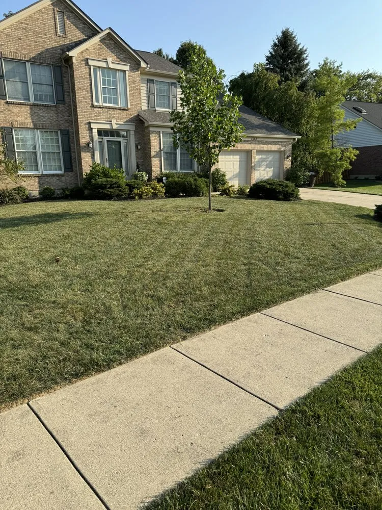 Trusted yard maintenance in Dayton, OH - Royal Home & Lawn