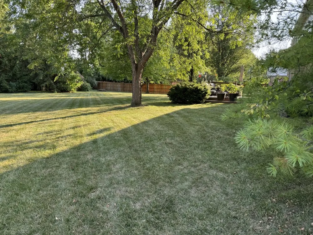 Reliable yard maintenance in Dayton, OH - Royal Home & Lawn