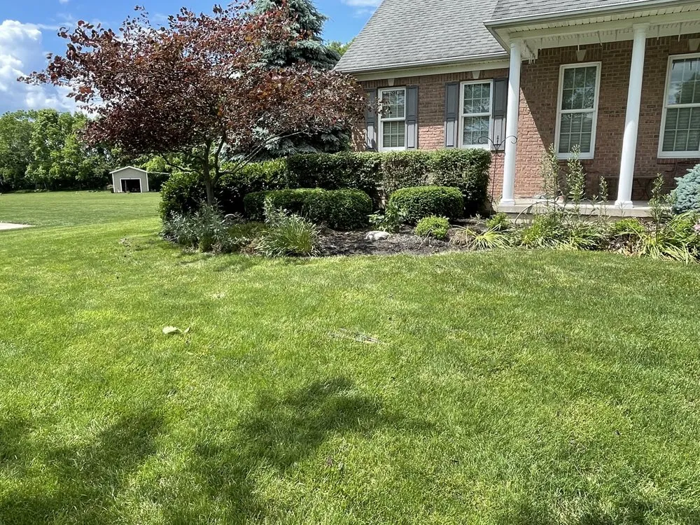 Reliable yard cleanup service in Dayton, OH by Royal Home & Lawn