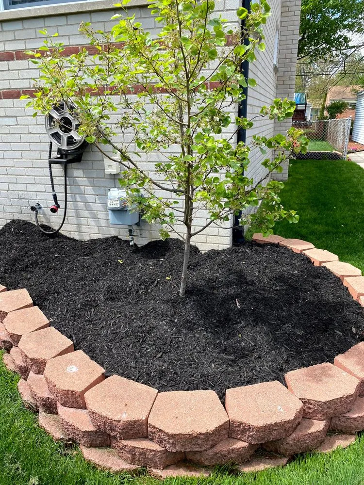 Top-rated landscaping services in Southgate, MI - Royal Home Care