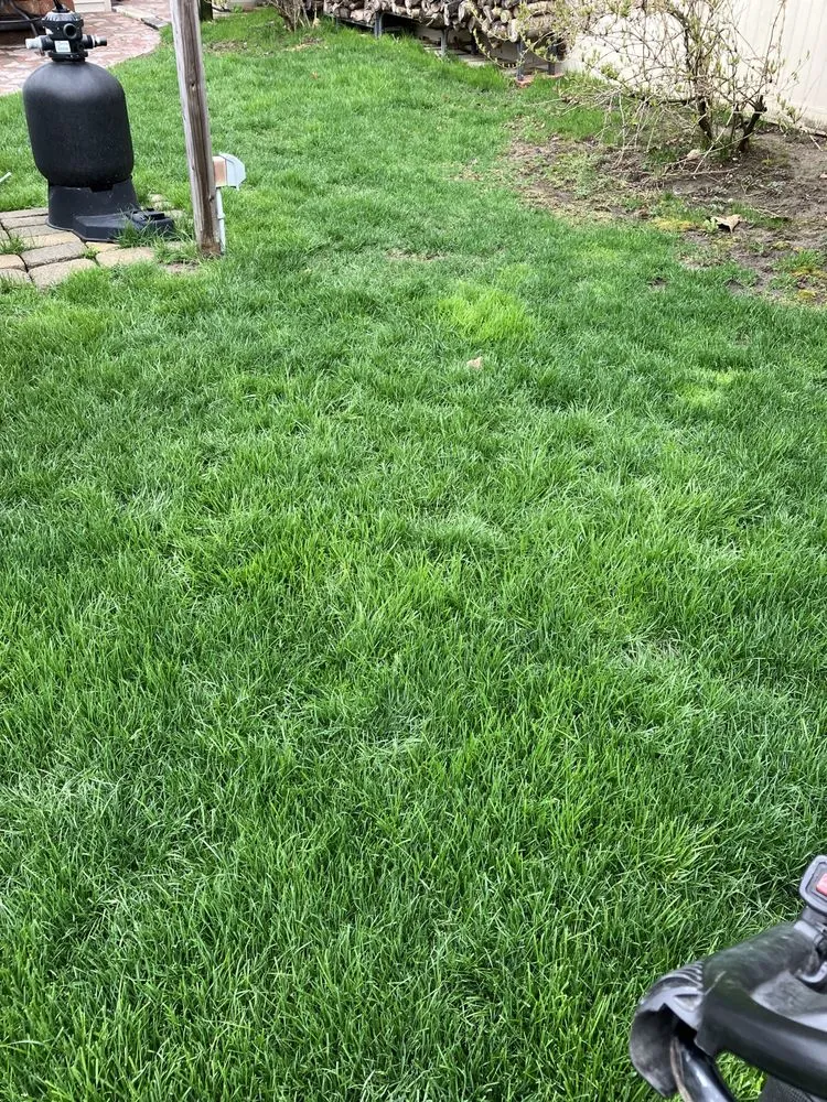 Trusted yard cleanup service in Southgate, MI by Royal Home Care