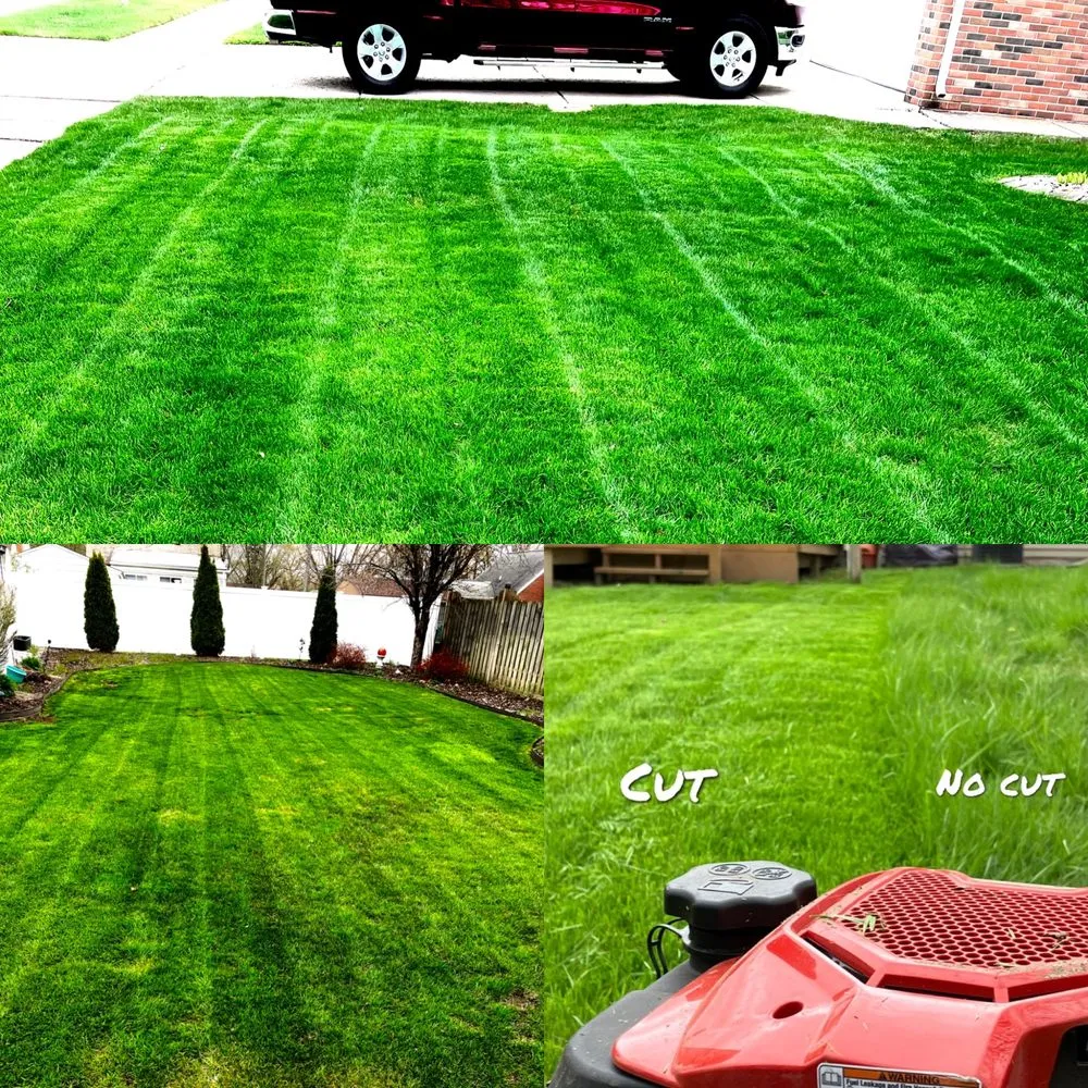 Reliable yard maintenance in Southgate, MI - Royal Home Care
