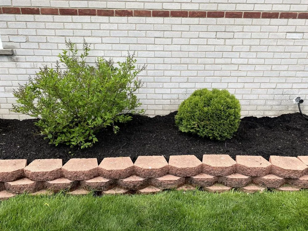 Reliable yard cleanup service in Southgate, MI by Royal Home Care