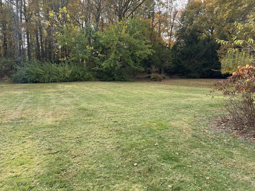 Top-rated residential landscaping for homes in Medina, OH by Royal Home Improvements and Maintenance