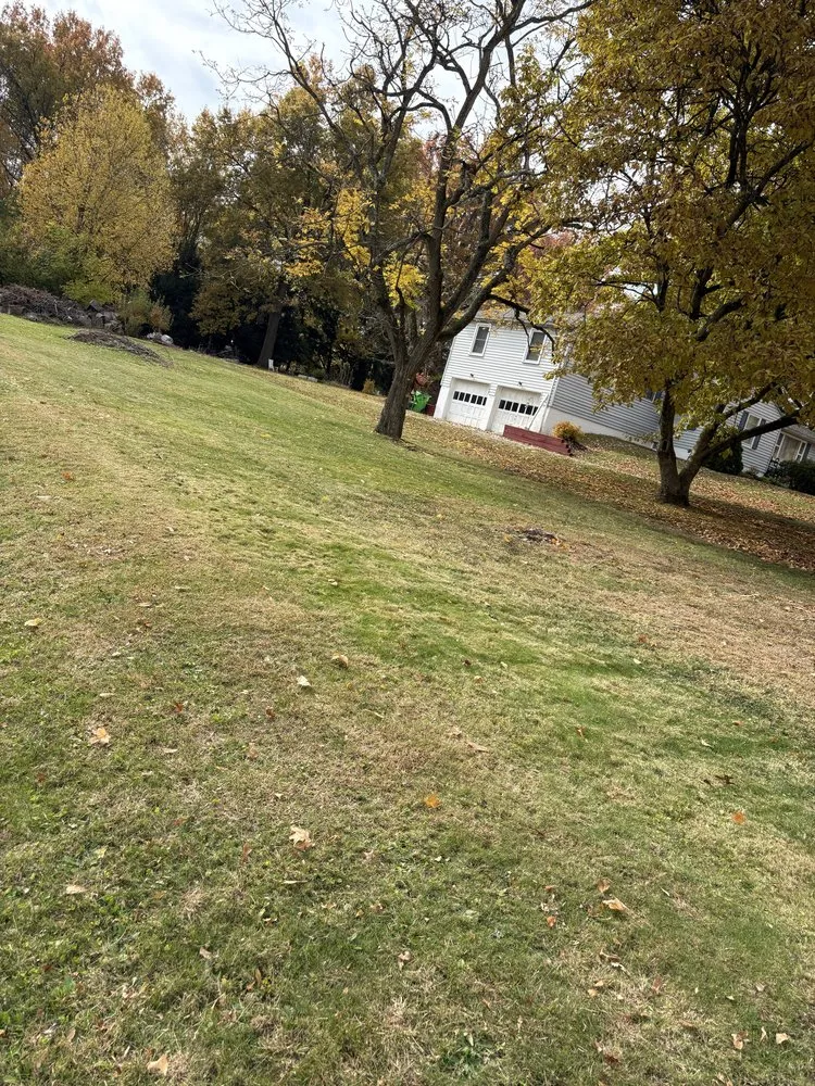 Local lawn care service in Medina, OH - Royal Home Improvements and Maintenance