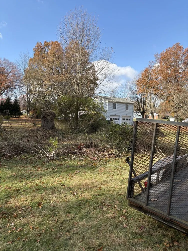 Professional lawn care service for residential properties across Medina, OH - Royal Home Improvements and Maintenance