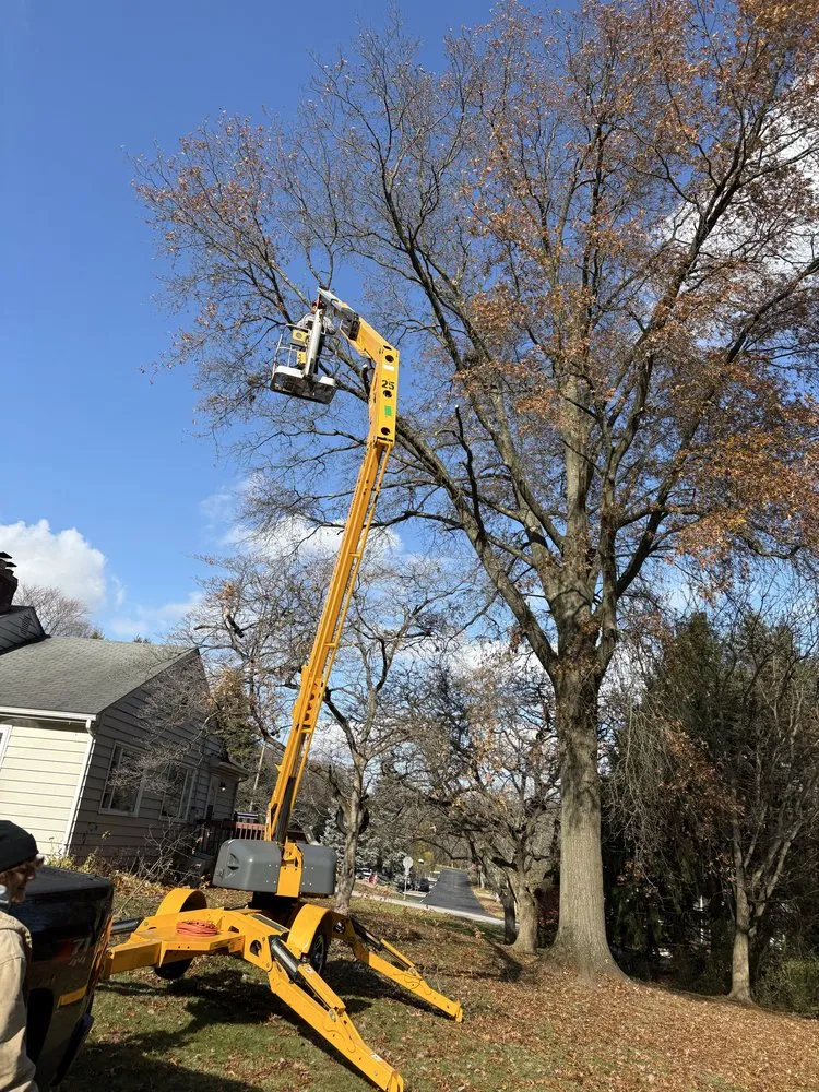 Reliable garden landscaping in Medina, OH by Royal Home Improvements and Maintenance