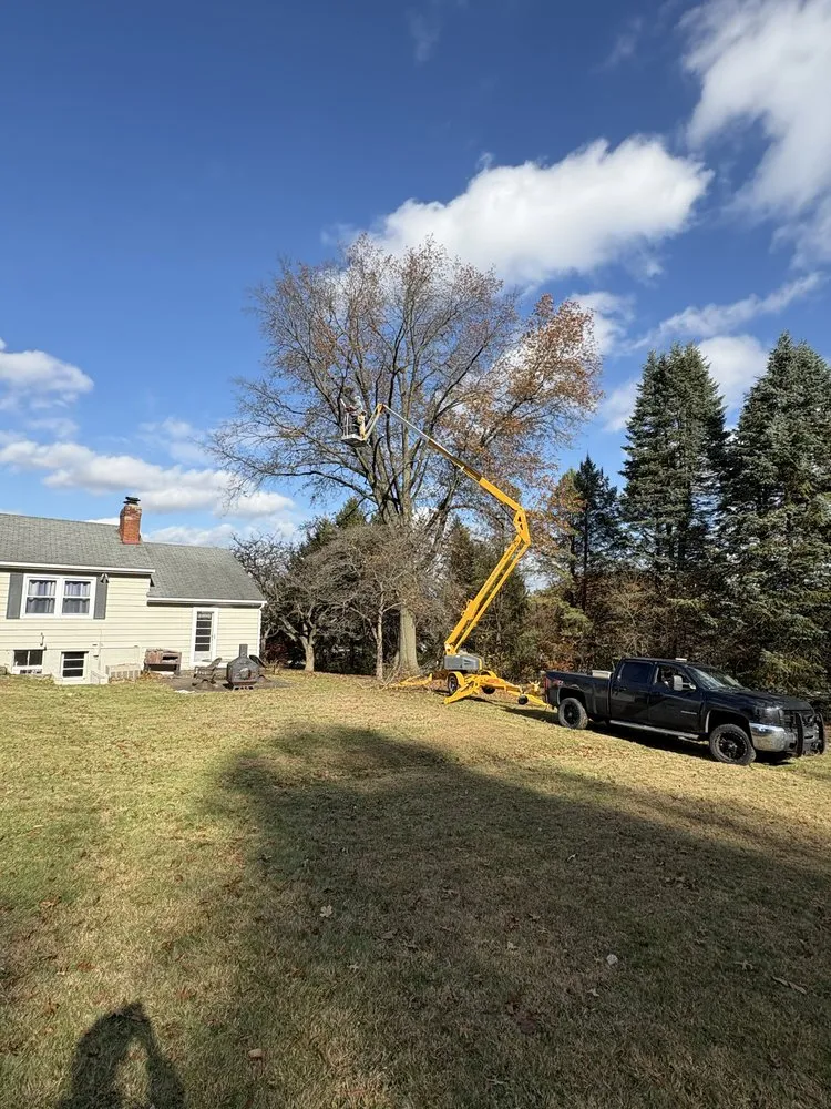 Custom garden landscaping for beautiful yards across Medina, OH - Royal Home Improvements and Maintenance