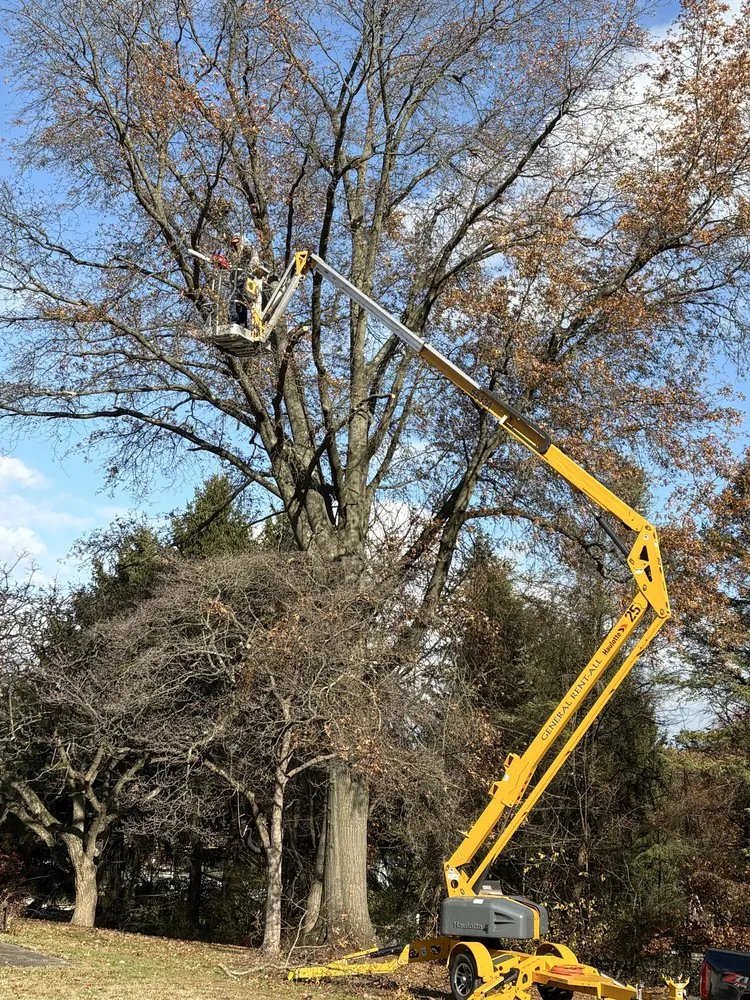 Expert residential landscaping for beautiful yards in Medina, OH by Royal Home Improvements and Maintenance