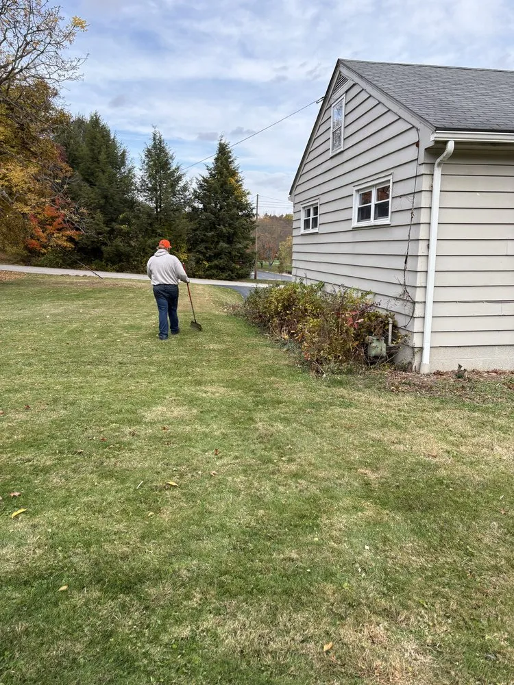 Top-rated yard cleanup service for beautiful yards in Medina, OH by Royal Home Improvements and Maintenance