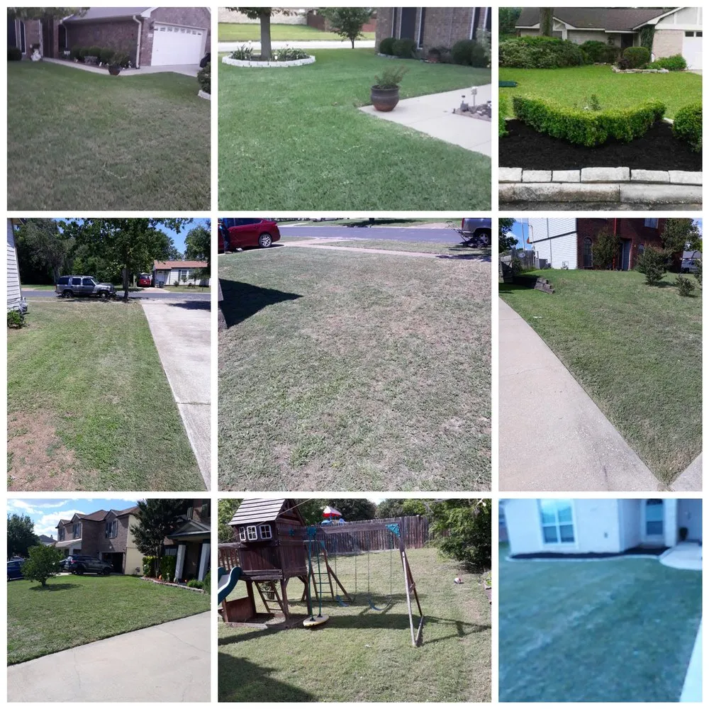 Trusted lawn care service for homes across Nolanville, TX - Royal House Landscaping