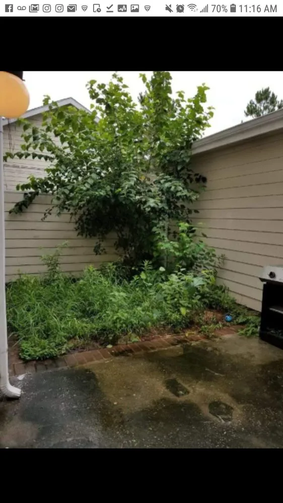 Custom lawn care service in Nolanville, TX by Royal House Landscaping