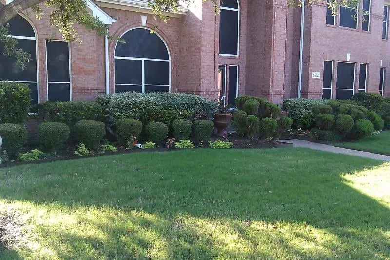 Expert yard maintenance in Dallas, TX - Royal Labor Lawn Care