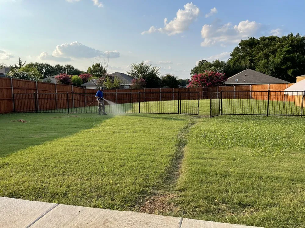 Reliable yard cleanup service in Dallas, TX by Royal Labor Lawn Care