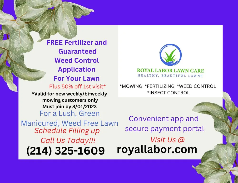 Professional yard cleanup service experts serving Dallas, TX - Royal Labor Lawn Care