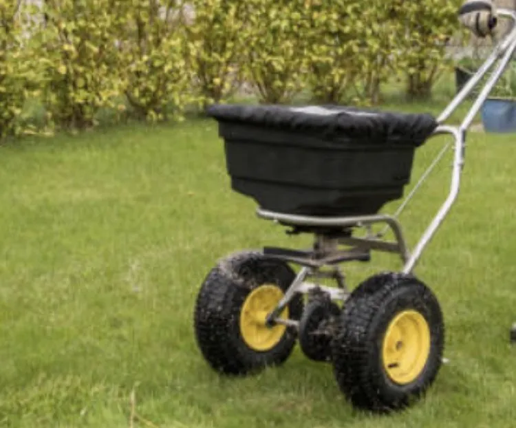 Top-rated residential landscaping for homes in Dallas, TX by Royal Labor Lawn Care