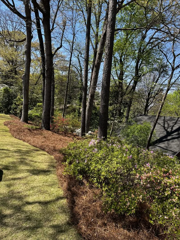Local outdoor landscaping experts serving Snellville, GA - Royal Landscape Group