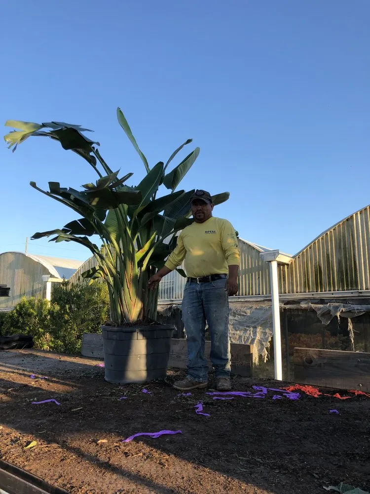 Reliable garden landscaping for outdoor upgrades across Gotha, FL - Royal Landscape Nursery