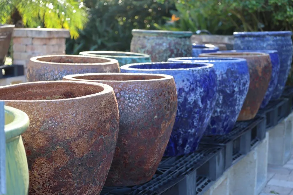 Custom yard maintenance experts serving Gotha, FL - Royal Landscape Nursery