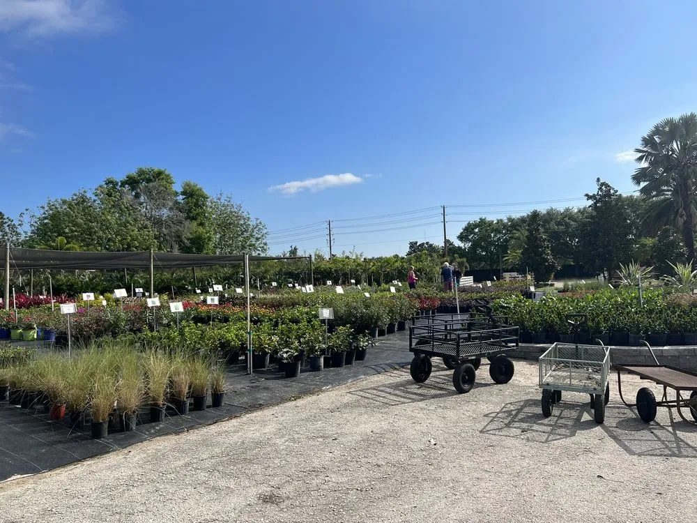 Expert landscape installation in Gotha, FL by Royal Landscape Nursery