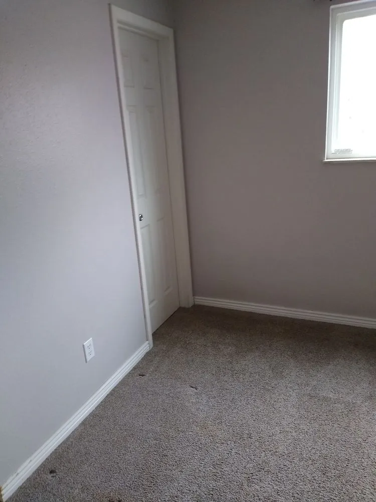 Local yard cleanup service experts serving Colorado Springs, CO - Royal Landscaping