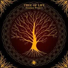 Professional landscape design in Colorado Springs, CO by Royal Landscaping