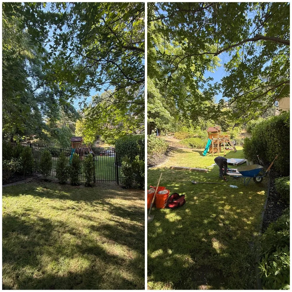 Top-rated yard cleanup service in East Palo Alto, CA - Royal Landscaping