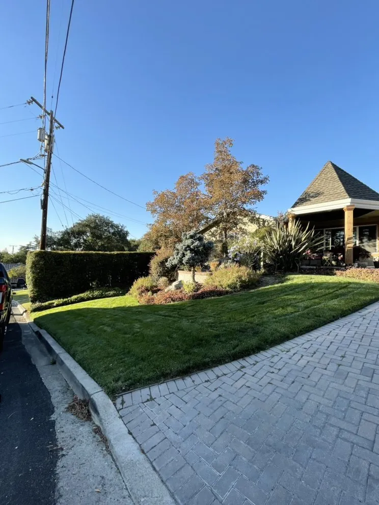 Custom landscape design in East Palo Alto, CA by Royal Landscaping