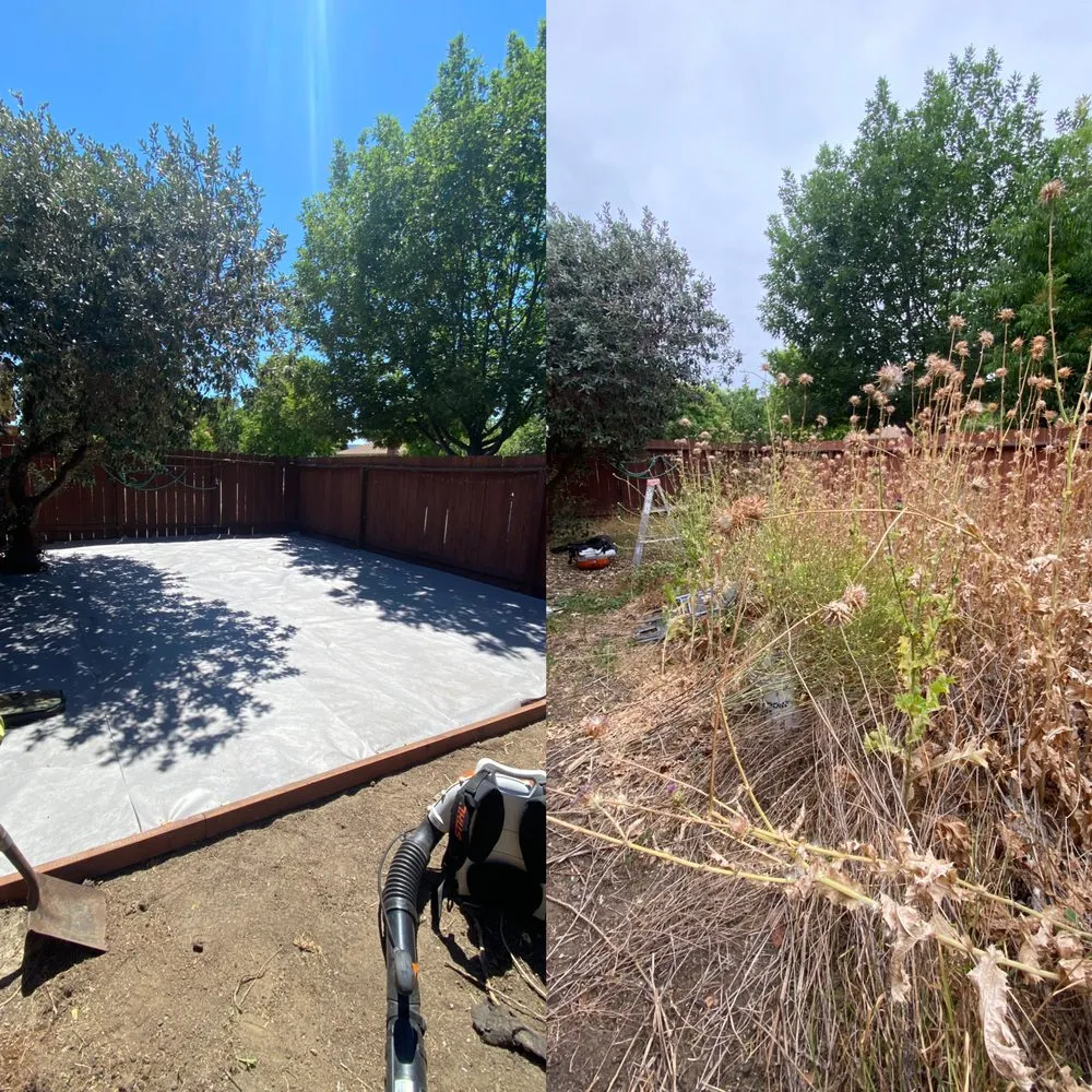 Trusted garden landscaping for homes across East Palo Alto, CA - Royal Landscaping